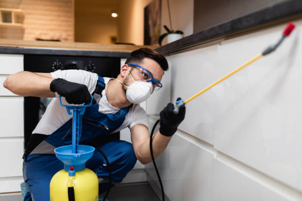 Best Insect Control  in Brownsville, PA