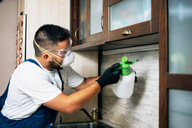 Best Emergency Pest Control  in Brownsville, PA
