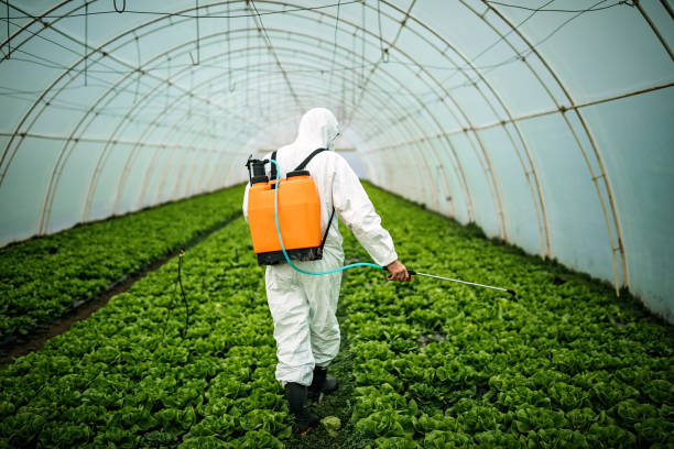 Best Pest Inspection Near Me  in Brownsville, PA