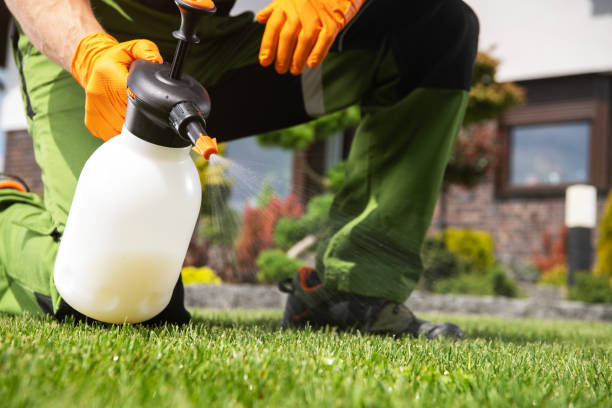 Trusted Brownsville, PA Pest Control Experts