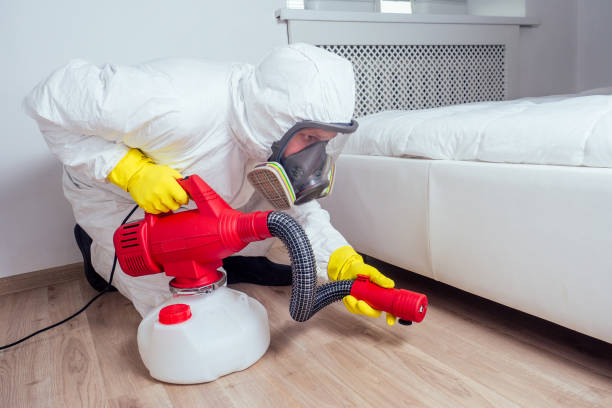 Best Flea Control Services  in Brownsville, PA