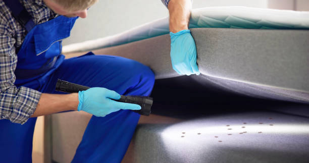 Best Mosquito Control Services  in Brownsville, PA