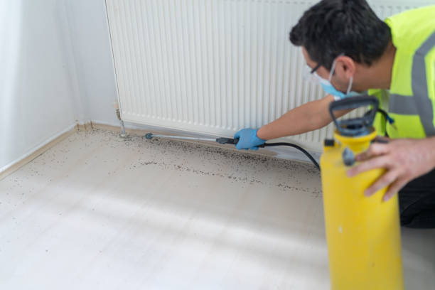Best Residential Pest Control  in Brownsville, PA